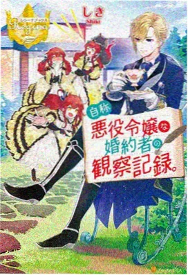 暗影裁决 免费动漫奇幻战斗